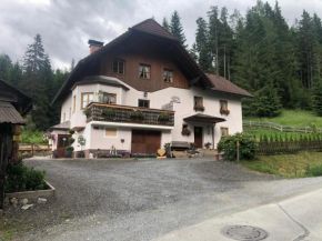 Ferienhaus Sophia & Ilse Murau